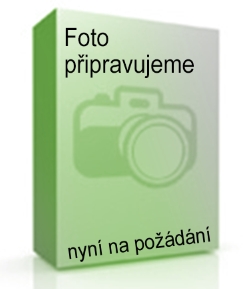 SKRUTKA SVETLA YETI