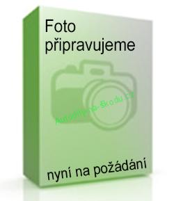 MŘÍŽKA MASKY octavia2 do 2009