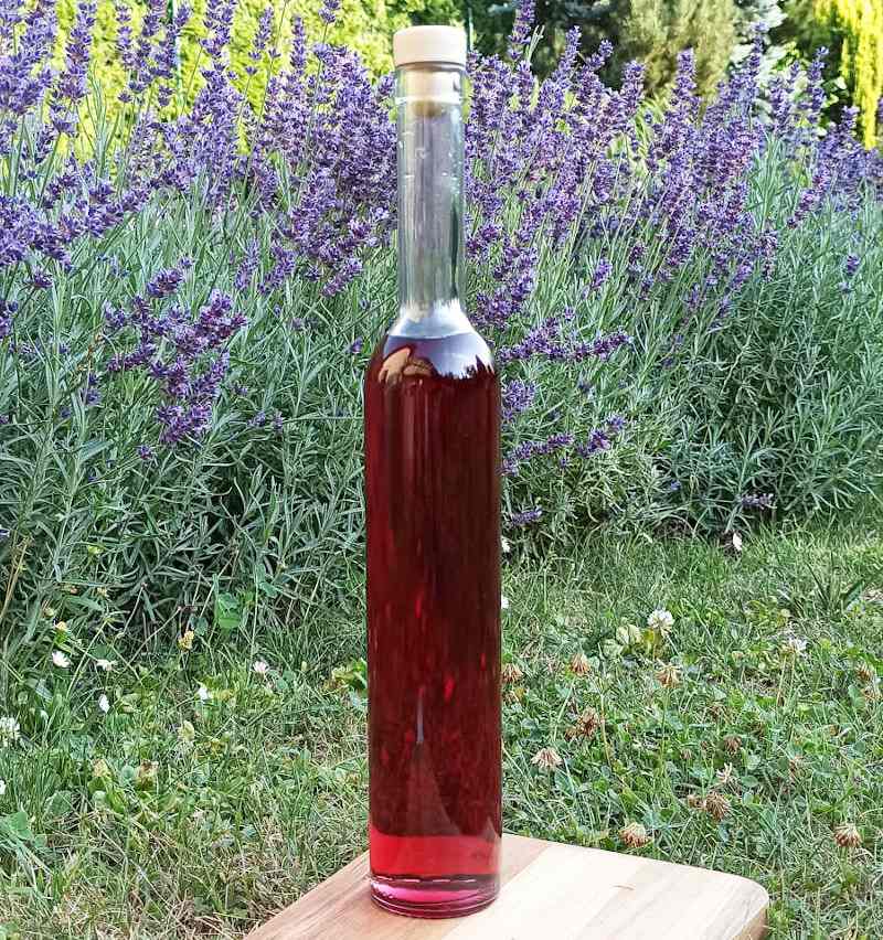 Láhev sklo 500ml BELISIMA se zátkou